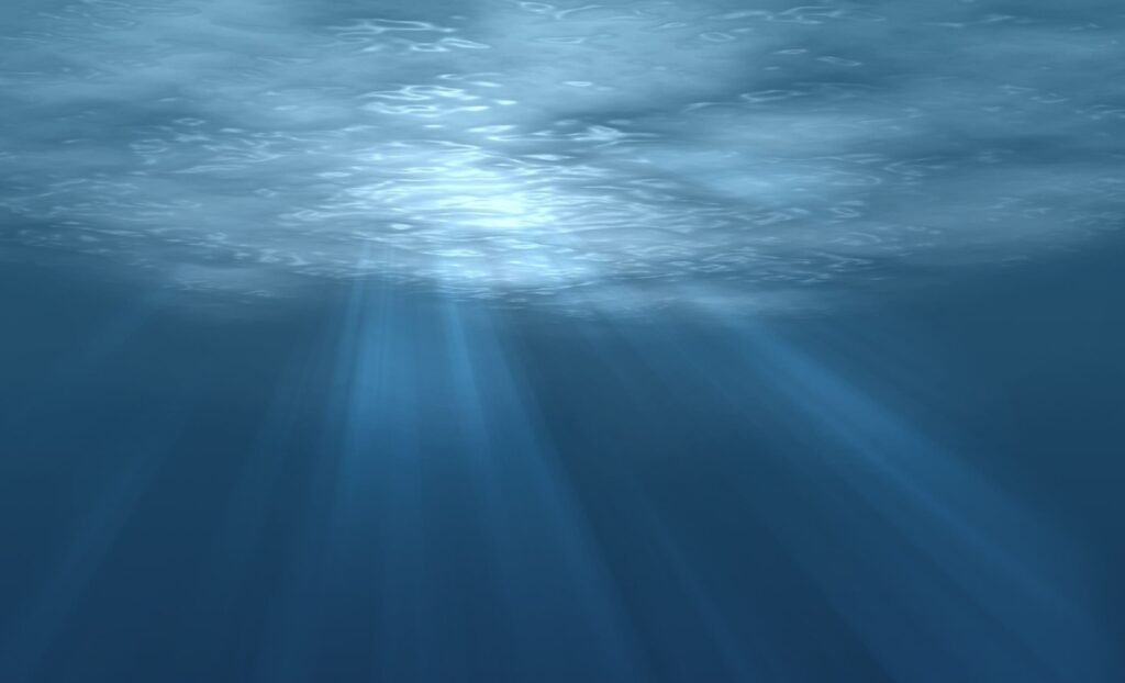 Photo d'un fond marin pour illustrer le projet SeaChange pour enfermer le CO2