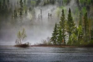 Photo d'un brouillard dabs une forêt au bord d'un lac pour illustrer le sujet de l'article Géoingénierie et changement climatique dans le monde